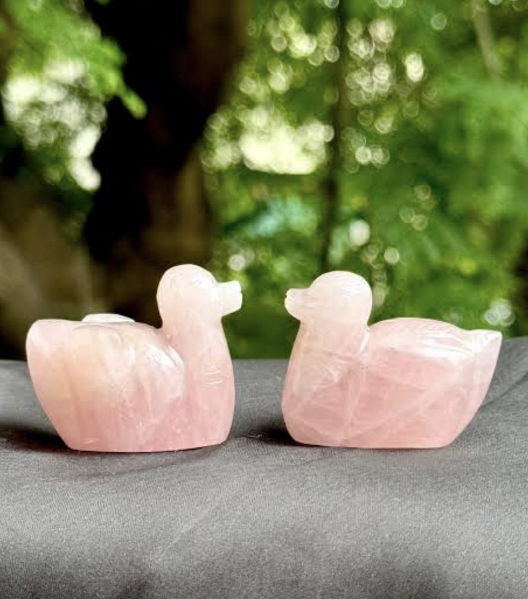 Rose quartz Duck pair