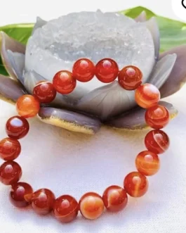 Carnelian Bracelate